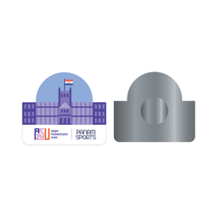 PIN PALACIO DE GOBIERNO